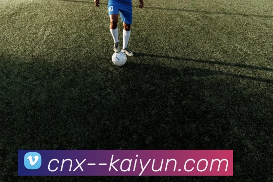 kaiyun平台生态图